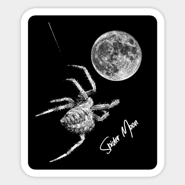 Spider Moon Sticker by JohnStanton